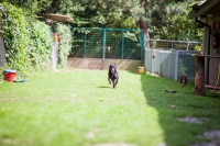 IL GIARDINO DI QUARK