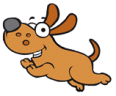 ENPA Borgosesia - Staff